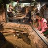 Photos: Live Crocodiles Invade The American Museum Of Natural History